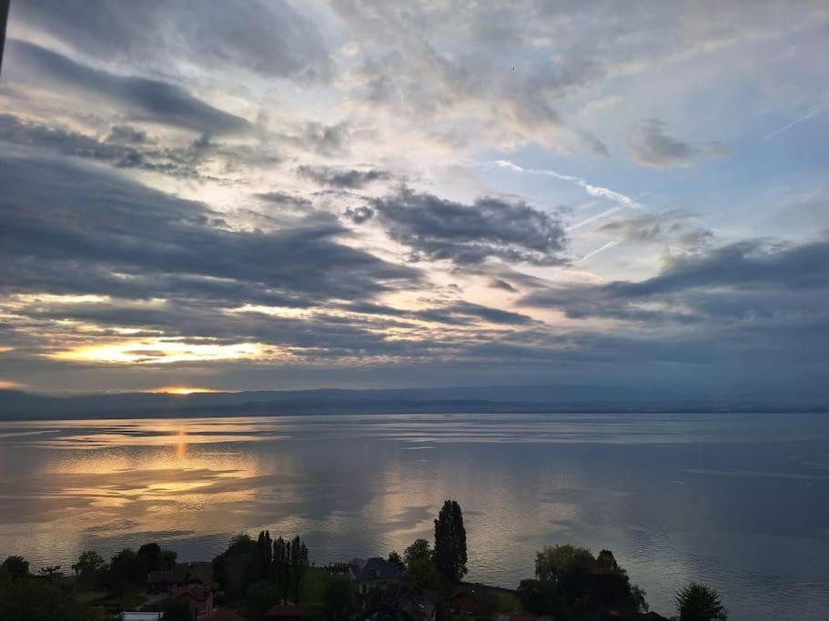 Appartement Avec Vue 180 Sur Le Lac Leman Thonon-les-Bains Luaran gambar